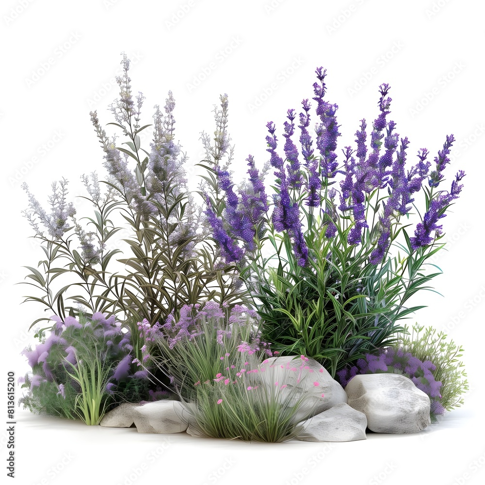 Fototapeta premium a group of flowers on white background