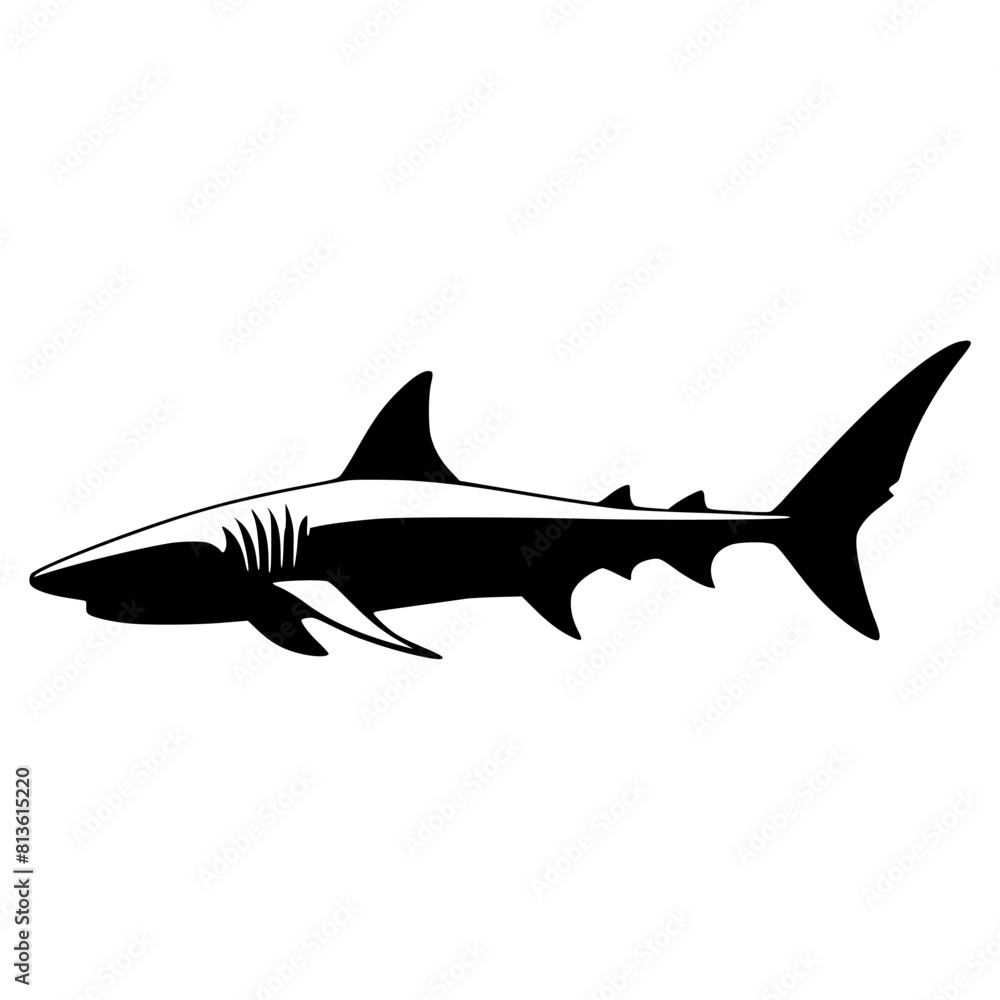 Fototapeta premium Vector illustration of a silhouette of a predatory shark on a white backdrop