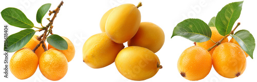 Loquat fruit bundle isolated on a white background