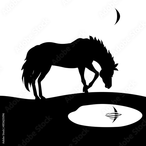 Black horse, a horse standing on the shore of a lake.