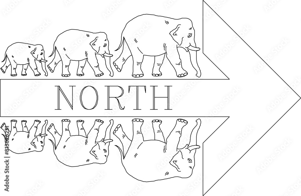 vector illustration sketch design icon logo wind direction model cardinal classic vintage ethnic animal north south west east vector illustration sketch design icon logo wind direction model cardinal classic vintage ethnic animal north south west east