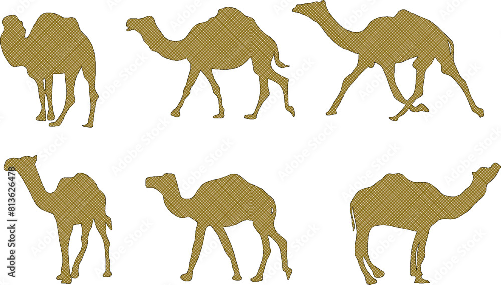 Naklejka premium vector illustration sketch vector design desert animal camel running