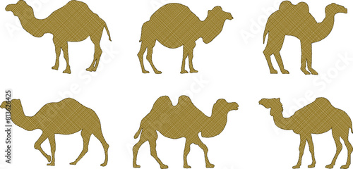 vector illustration sketch vector design desert animal camel is walking in the desert photo