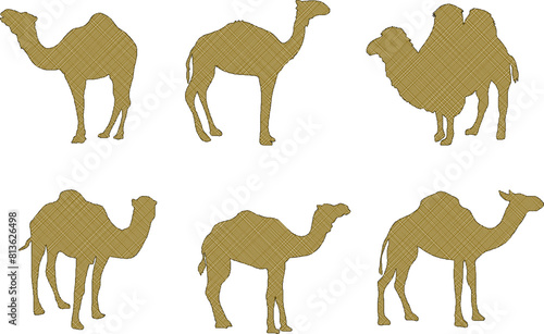 vector illustration sketch vector design desert animal camel running