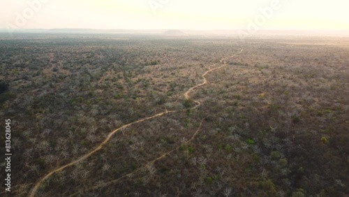 Aerial drone shot of a long dirt road through a semi arid forest in shivpuri area of Madhya Pradesh India photo