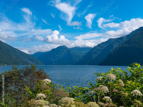 View of the majestic mountains of the Sognefjord. Esefjord is a branch of th Sognefjord, municipality of Sogn go Fjordane country. In the foreground the beautiful flowers and shrubs. Norway, Vestland.