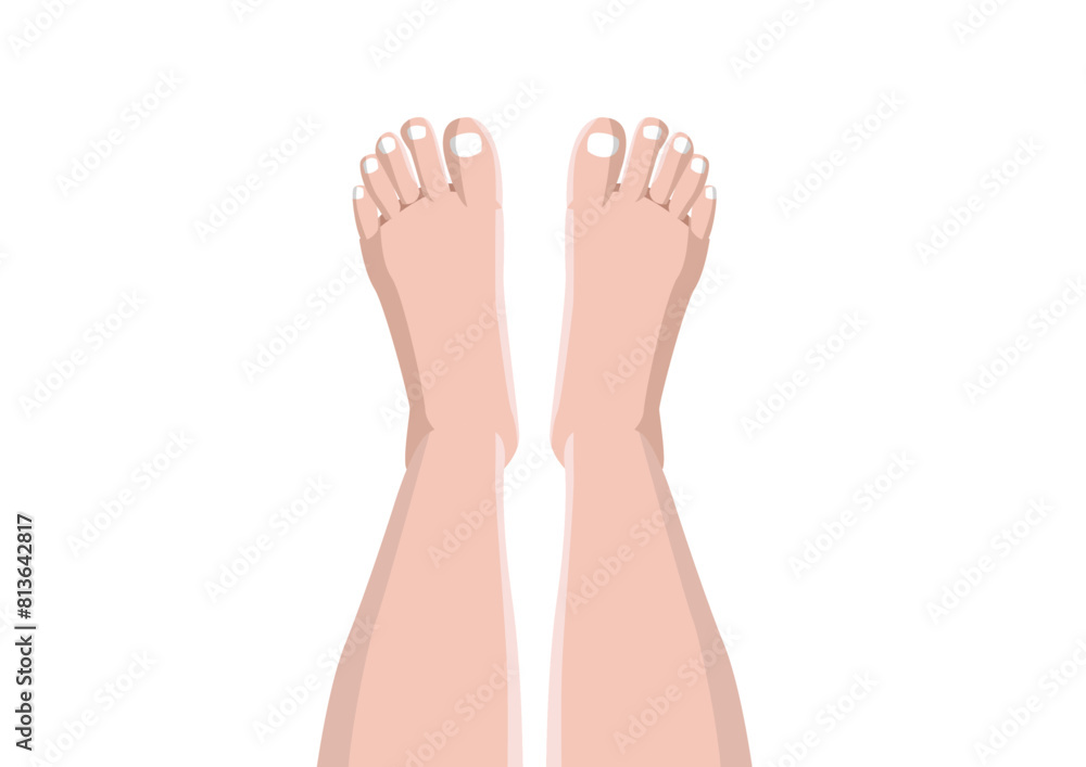 Obraz premium leg isolated on white background illustration vector