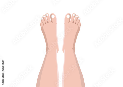 leg isolated on white background illustration vector