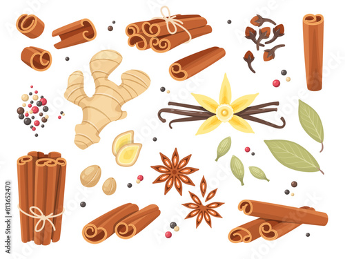 Cartoon dry spices. Cinnamon sticks, allspice peas, cloves and anise stars, fragrant organic seeds, roots, ginger and vanilla, various peppers and bay leaf, culinary condiments, vector set