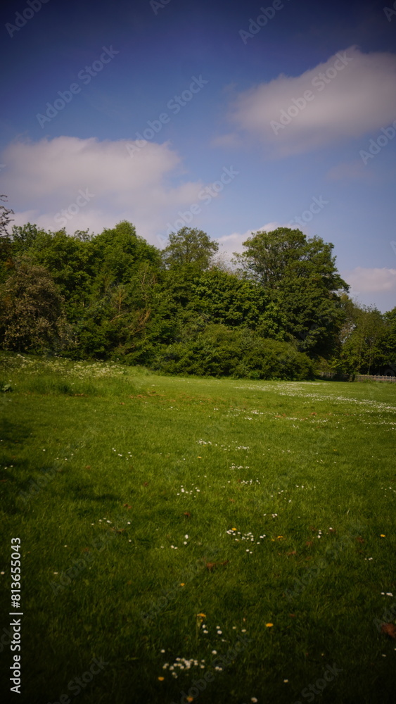 Naklejka premium Countryside, Woodland, Nature, Landscape, Rural, Forest, Trees, Scenic, Serene, Tranquil, Greenery, Foliage, Meadows, Fields, Tranquility, Countryside scenery, Natural beauty, Outdoor, Peaceful, Wilde