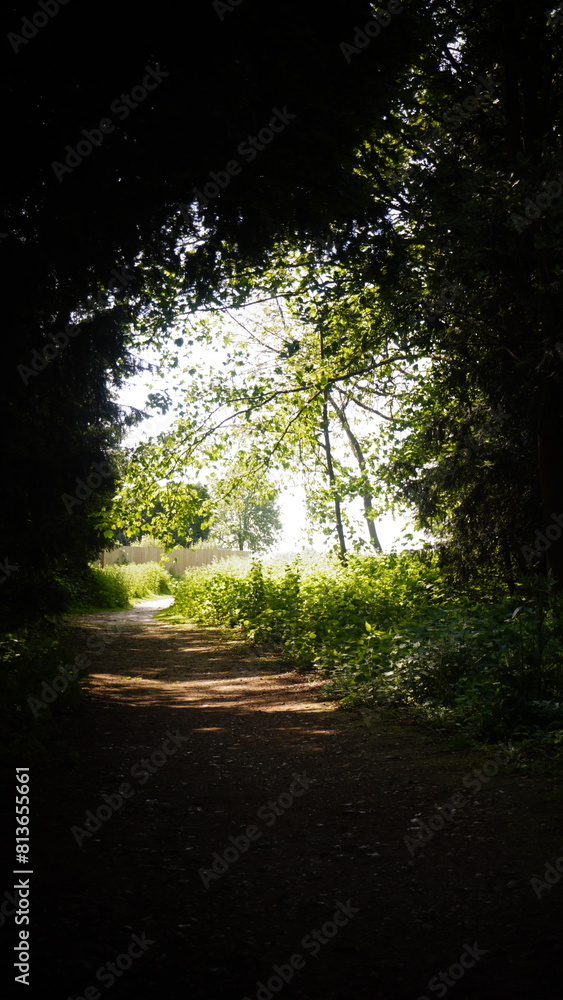 Fototapeta premium Countryside, Woodland, Nature, Landscape, Rural, Forest, Trees, Scenic, Serene, Tranquil, Greenery, Foliage, Meadows, Fields, Tranquility, Countryside scenery, Natural beauty, Outdoor, Peaceful, Wilde