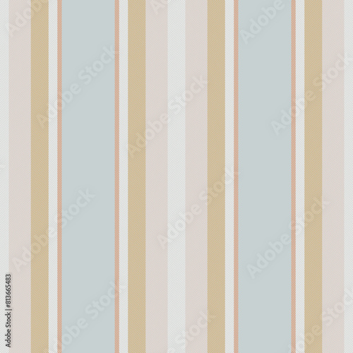Vertical lines stripe pattern. Vector stripes background fabric texture. Geometric striped line seamless abstract design.