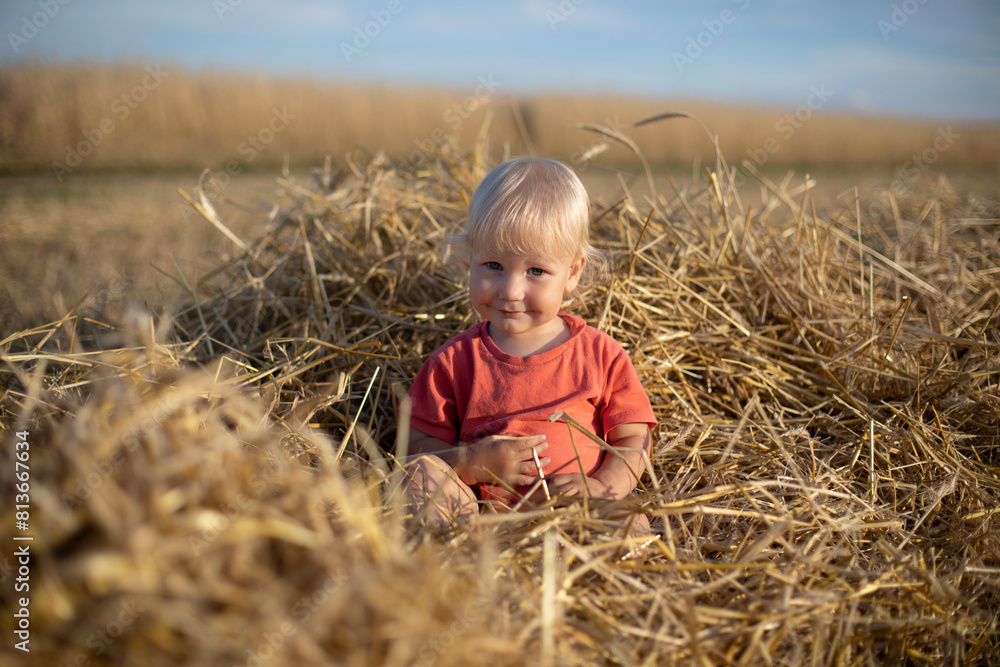 a one-year-old fair-haired boy in a red T-shirt sits on golden straw on a bright sunny day
a one-year-old fair-haired boy in a red T-shirt sits on golden straw on a bright sunny day