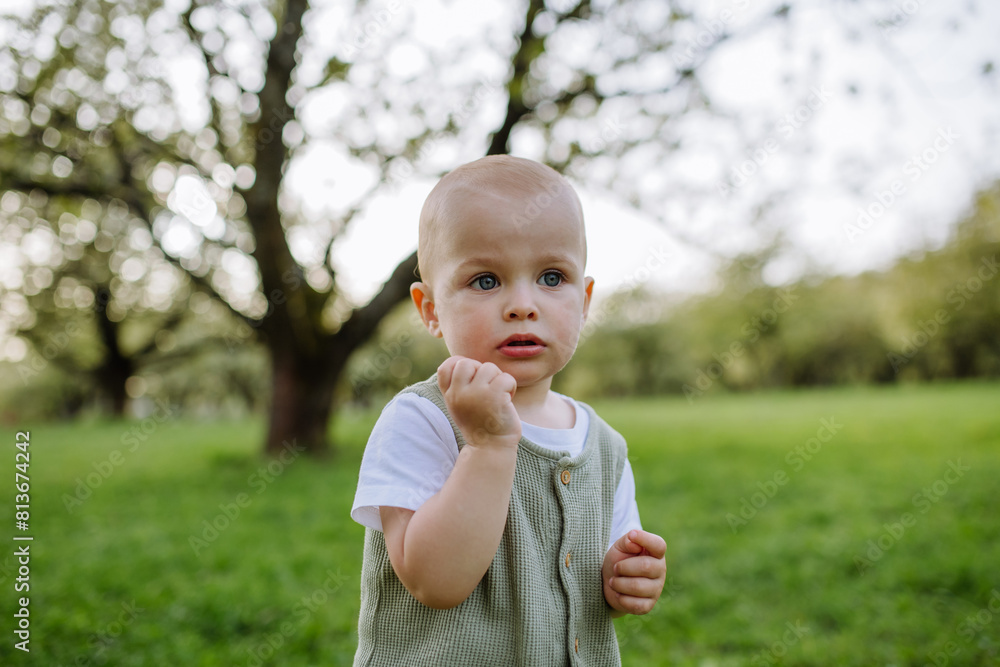 Cute toddler playing in grass. Baby on family walk in spring nature. Happy family moment. Cute toddler playing in grass. Baby on family walk in spring nature. Happy family moment.