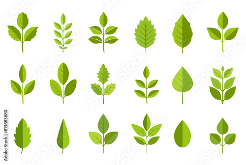 Flat green leaves collection. Leaf of marple oak birch tree. Isolated environmental symbol. Simple vector eco nature collection