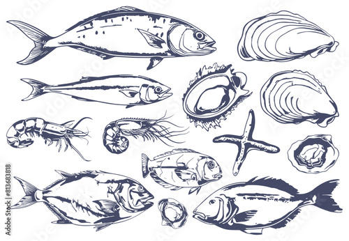 Hand drawn ocean fish vintage style. Mackerel shrimps and clams seastar. Underwater wild life characters. Seafood sketch vector collection