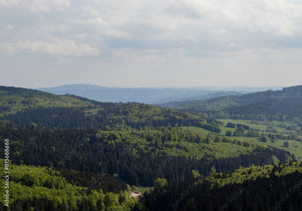Naklejka premium Forest panoramic landscape with a view in the distance