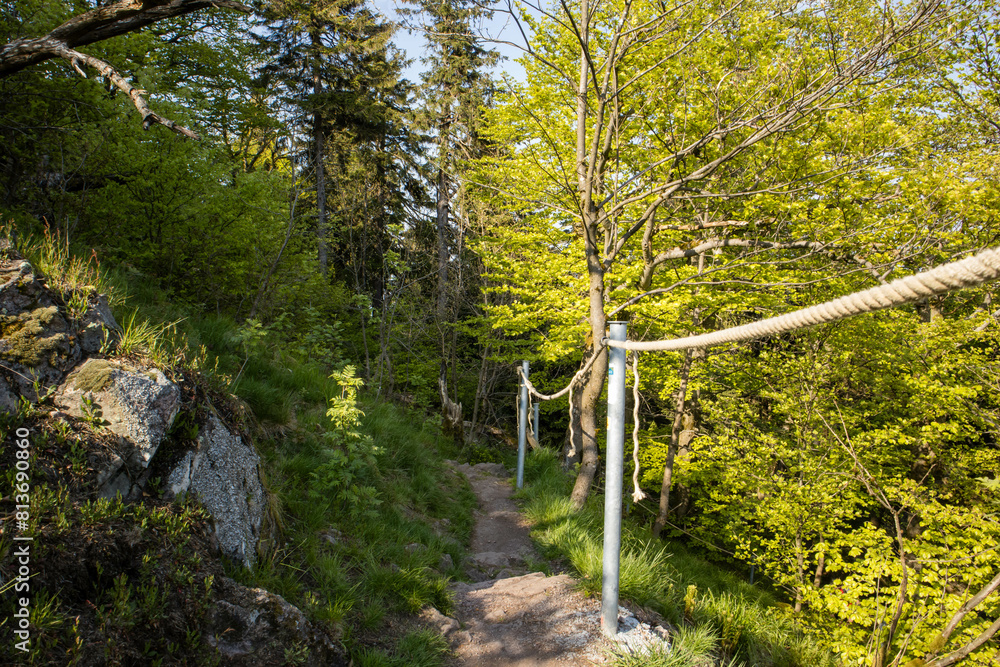 Obraz premium Walking path in mountains with safety handrail