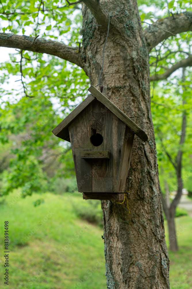 Bird Nest In The Tree stock photo Bird Nest In The Tree stock photo