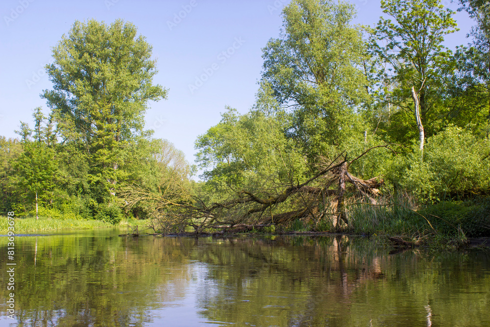 Niers River, Lower Rhine Region, Germany Niers River, Lower Rhine Region, Germany