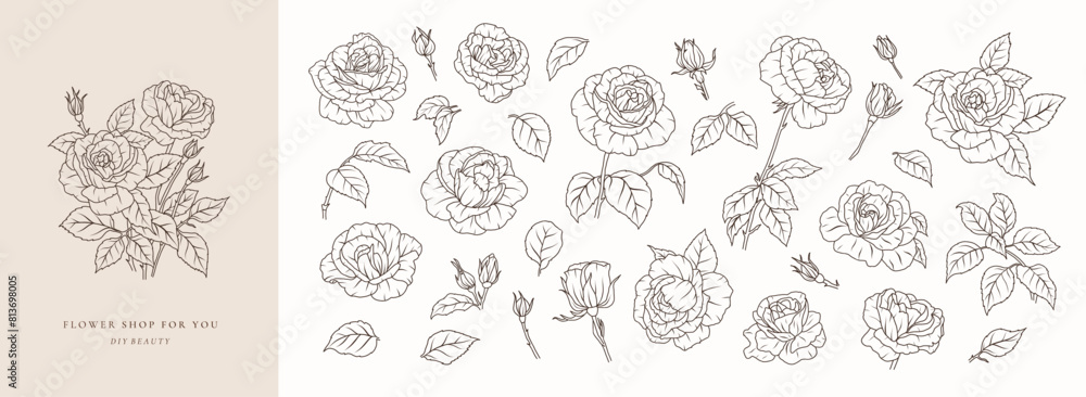 Set of rose flower greenery leaves line art isolated. Spring floral garden roses black logo wreath sketch plant. Vector illustration botanical stem, green leaves, floral bloom Set of rose flower greenery leaves line art isolated. Spring floral garden roses black logo wreath sketch plant. Vector illustration botanical stem, green leaves, floral bloom
