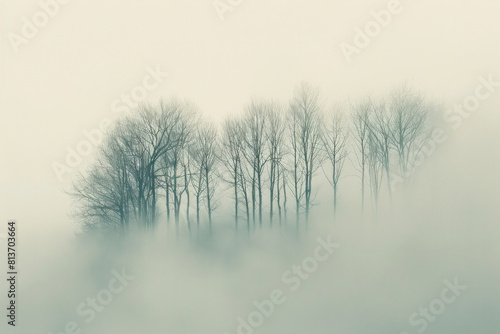 A minimalist landscape photograph capturing the layered patterns of trees receding into the distance on a foggy morning  with their soft silhouettes and muted tones.