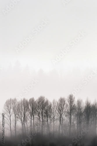 A minimalist landscape photograph capturing the layered patterns of trees receding into the distance on a foggy morning  with their soft silhouettes and muted tones.