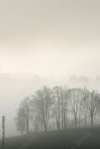 A minimalist landscape photograph capturing the layered patterns of trees receding into the distance on a foggy morning, with their soft silhouettes and muted tones.