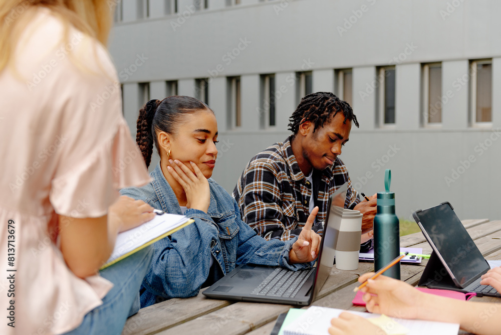 Fototapeta premium Multiracial group of young students studying or preparing a common class project, using laptops and sitting on a bench in the university campus gardens.