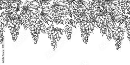 Seamless horizontal vector pattern of grape leaf branch in engraving style