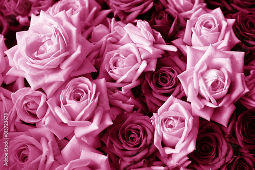 Pink floral toned background of roses. Photo of a bouquet in a flower shop.