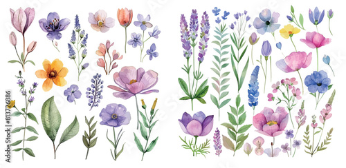 Spring flower and element watercolor illustration set