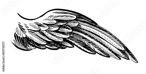 Bird wing. Bird wing. Hand drawn ink black and white illustration