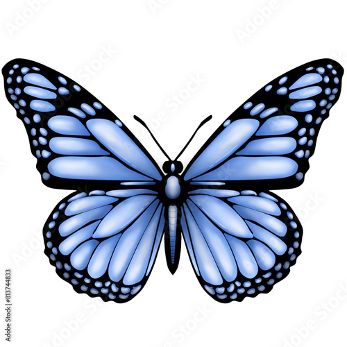 Canvas Print butterfly isolated on white background