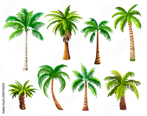 Cartoon palm trees. Palmtrees coconut palms coco tree leaves hawaii miami egypt brazil beach tropical forest jungle island element natural umbrella, ingenious vector illustration