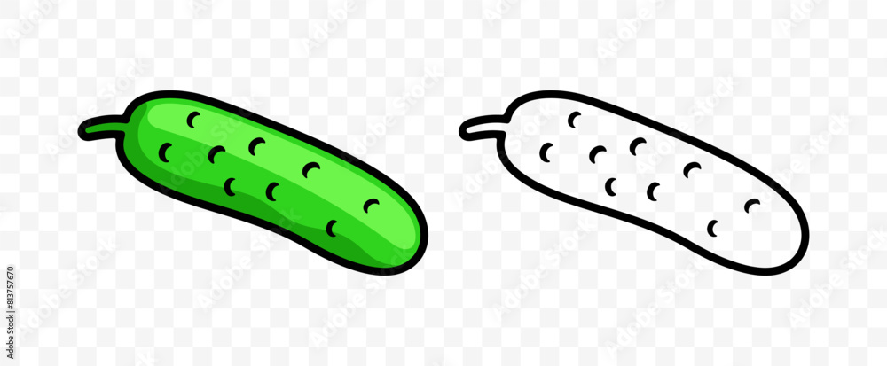 Cucumber, pickle, vegetable, graphic design. Gherkins and plant, fruit, food and meal, nourishment, vector design and illustration Cucumber, pickle, vegetable, graphic design. Gherkins and plant, fruit, food and meal, nourishment, vector design and illustration