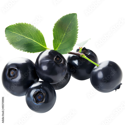 bilberry on transparent png background