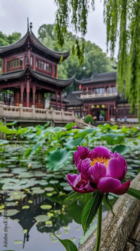 Peony Garden, where thousands of colorful peonies bloom in a mesmerizing display of natural splendor, inviting visitors to immerse themselves in a floral paradise. Peony Garden, where thousands of colorful peonies bloom in a mesmerizing display of natural splendor, inviting visitors to immerse themselves in a floral paradise.