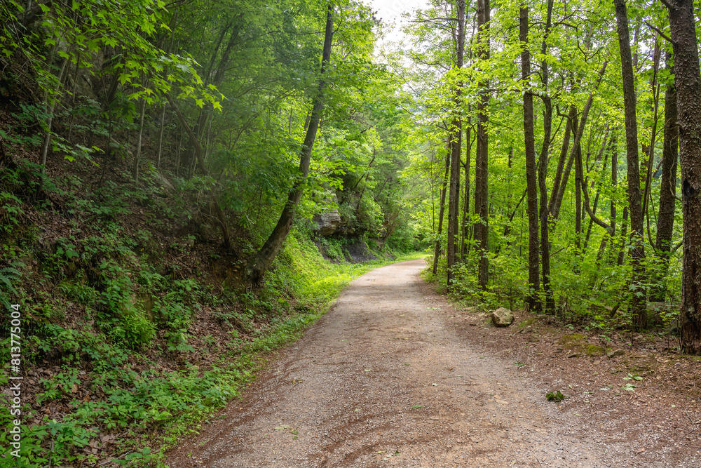 An old mining road through the woodland along Big Soddy Creek Gulf during early spring when the foliage on trees is bright green. Soddy Daisy, Tennessee. An old mining road through the woodland along Big Soddy Creek Gulf during early spring when the foliage on trees is bright green. Soddy Daisy, Tennessee.