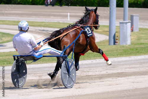 Racing horses trots and rider on a track of stadium. Competitions for trotting horse racing. Horses compete in harness racing. Horse runing at the track with rider.
