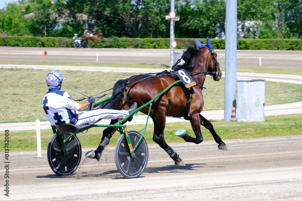 Racing horses trots and rider on a track of stadium. Competitions for trotting horse racing. Horses compete in harness racing. Horse runing at the track with rider.
Racing horses trots and rider on a track of stadium. Competitions for trotting horse racing. Horses compete in harness racing. Horse runing at the track with rider.