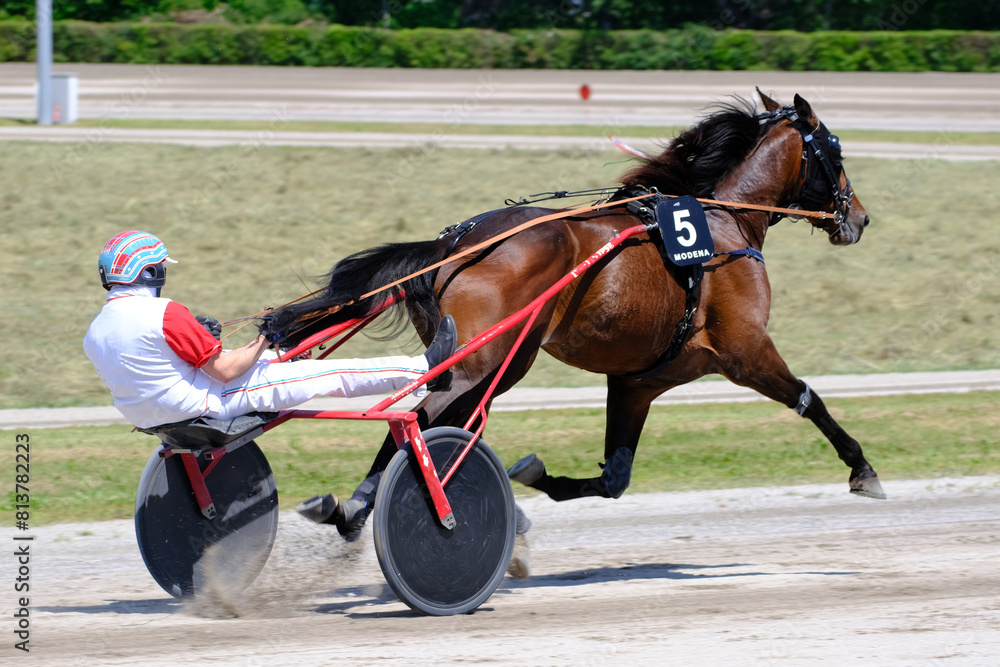 Racing horses trots and rider on a track of stadium. Competitions for trotting horse racing. Horses compete in harness racing. Horse runing at the track with rider.
Racing horses trots and rider on a track of stadium. Competitions for trotting horse racing. Horses compete in harness racing. Horse runing at the track with rider.