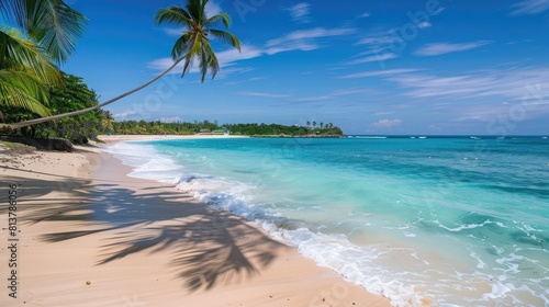 Pristine beach with turquoise waters and palm trees  great for tropical vacation destinations and coastal resort advertisements.
