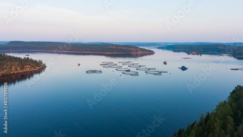 Tranquil aerial shot of a fish farm with circular cages in a serene lake, surrounded by dense forests during early morning light.