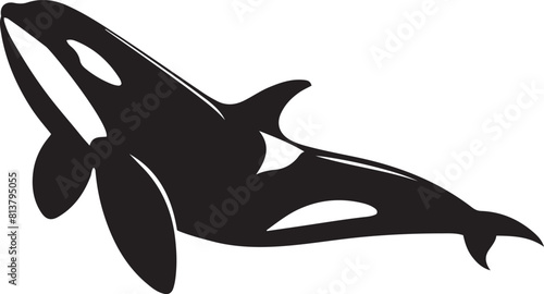 Orca killer whale silhouette vector illustration.