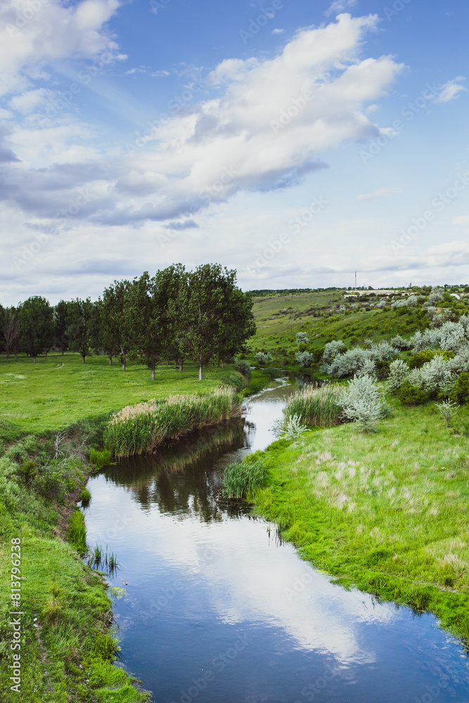 Beautiful summer landscape with green trees,  green meadows on the bank of the river in Republic of Moldova.