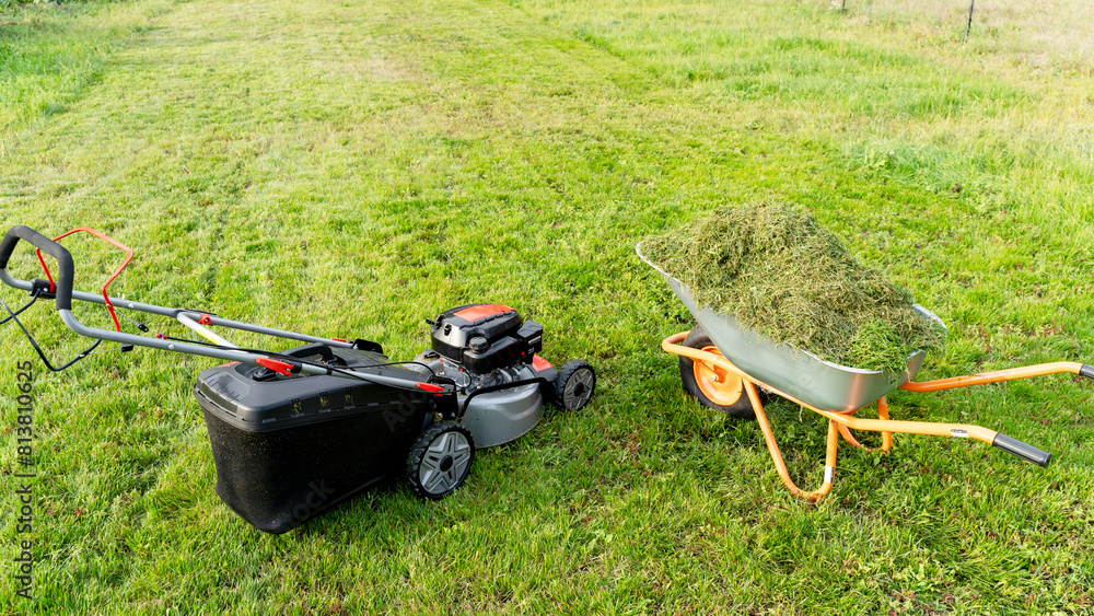 Fototapeta premium Lawn mower on a green flat lawn on a sunny day