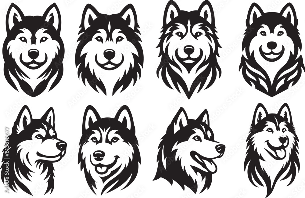 Siberian Husky dog head set silhouette vector illustration. Popular family dog. Siberian Husky dog head set silhouette vector illustration. Popular family dog.