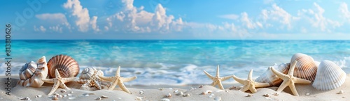 A panoramic view of the sandy beach with seashells and starfish, set against an azure ocean backdrop on a clear summer day
