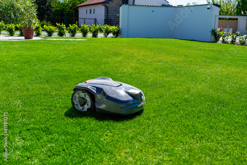 robot mower working in the garden on beautiful green grass © Bernadett